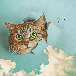 亚洲色偷偷精品
